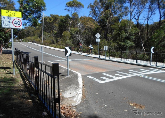 こちらはハンプ。横断歩道のないタイプは、歩行者がわたれないよう、柵がつけられている。