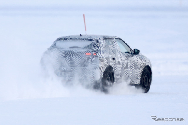 DS 3 クロスバック スクープ写真