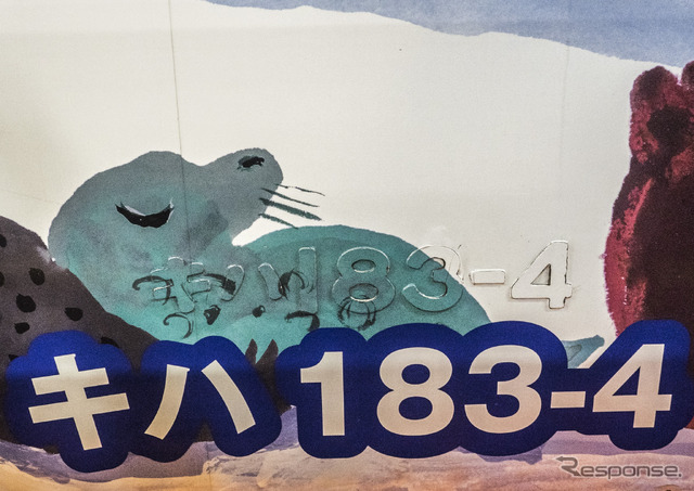 「スラントノーズ」のキハ183形は、『旭山動物園号』でキハ183-3・4が最後まで運用。車号が本来のものの下にペインティングされている。2014年2月5日撮影。