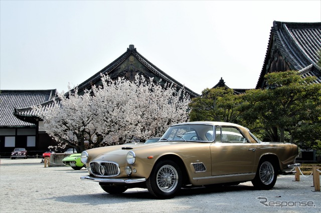Touring Italian class of 1962~(1962年以降にトゥーリングによって作られた中で最も優れているクルマ)…1962年マセラティ3500GT