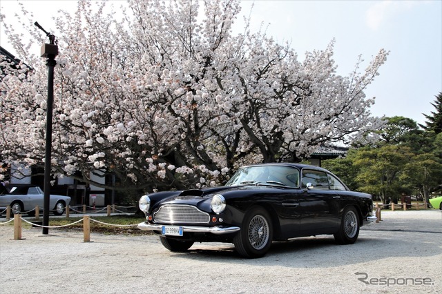 Touring Foreign(イタリア以外のメーカーでトゥーリングのボディを纏った車で最も優れている)…1959年アストンマーティンDB4 3.7