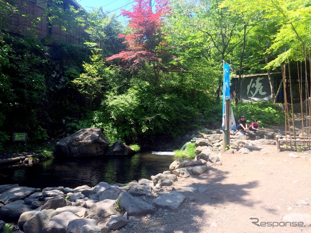 痛ナスフェスティバル2018 夏の陣