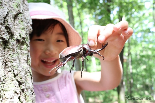 夏休みカブクワひろば