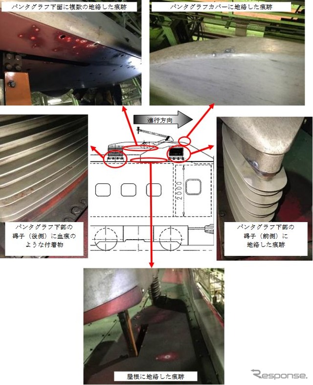 JR東日本が発表した問題のパンタグラフ付近の「地洛」の状況。屋根やパンタグラフ下部の碍子、パンタグラフカバーといった部分のいたるところに地洛の跡が見られ、碍子部分には血痕のようなものも見られる。