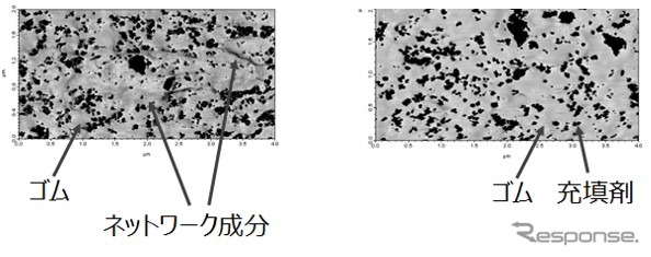 原子間力顕微鏡位相像（左：制御でネットワークあり、右：制御せずネットワークなし）