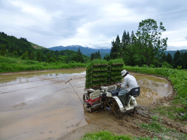 山間部の小さな田んぼ。ここでは、雪解け水を活かしながら有機栽培用の田植え機を使う