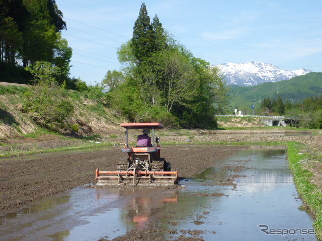 田植え前は、トラクターで代掻きをして田んぼをつくる