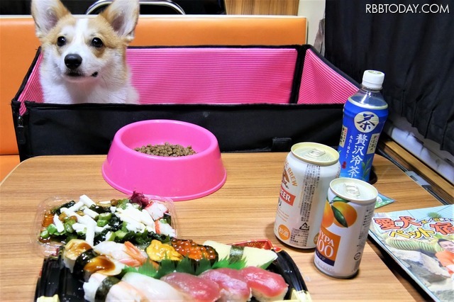 【ワンコとお出かけ Vol.17】レンタルキャンピングカーで行く湘南、三浦の旅(ドライブ前編)
