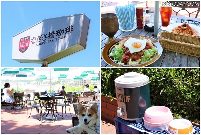 【ワンコとお出かけ Vol.17】レンタルキャンピングカーで行く湘南、三浦の旅(ドライブ前編)