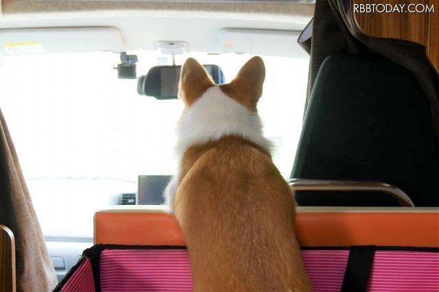 【ワンコとお出かけ Vol.18】レンタルキャンピングカーで行く湘南、三浦の旅(ドライブ後編)
