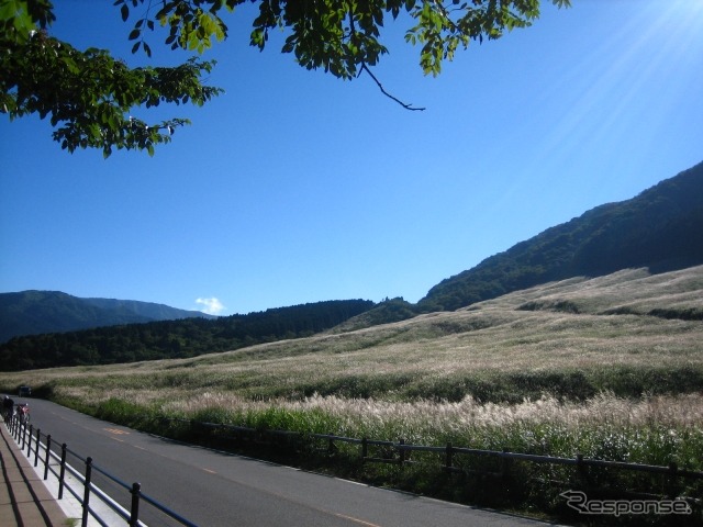 箱根仙石原