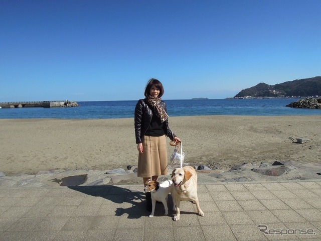 【青山尚暉のわんダフルカーライフ】愛犬との遠出、どんなことに気をつけるべき？