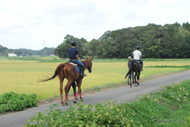 「千葉ライディングパーク」で乗馬体験