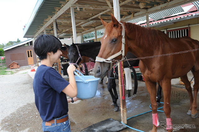 「千葉ライディングパーク」で乗馬体験