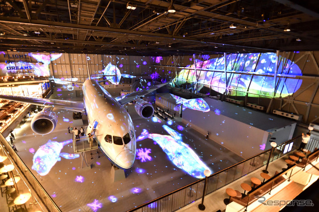フライウィズ787ドリームライナー(フライト・オブ・ドリームズ)