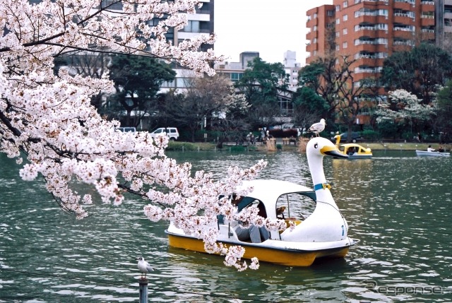 上野恩賜公園（東京都）　(AC)