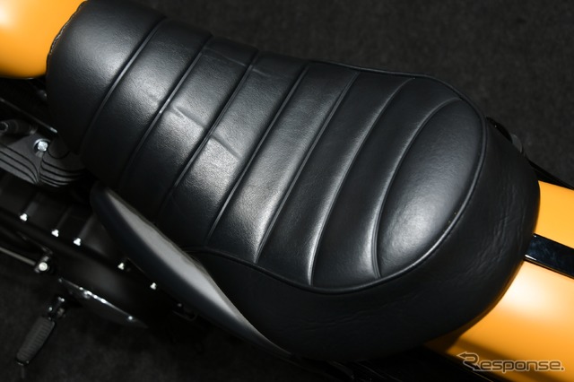 ハーレーダビッドソン スポーツスター アイアン883(東京モーターサイクルショー2019)