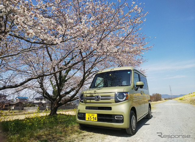 湿地帯は気温が低いのか、大会本部近くよりつぼみが多かった。