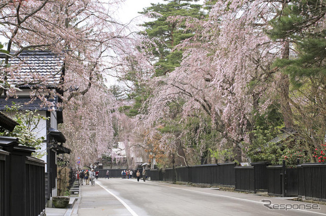 クルマが広げるあなたのライフスタイル　2月5日-4月6日