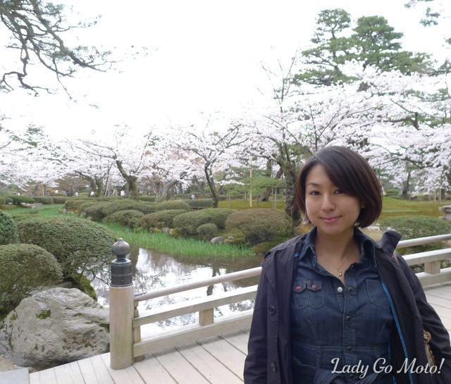 何年か前、GW10日くらい前に訪れた兼六園は桜満開! 曇り空の下、風は冷たくスプリングコートでは物足りなかった思い出が……。
