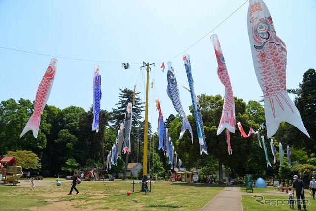 サクラ・オートヒストリーフォーラム2019