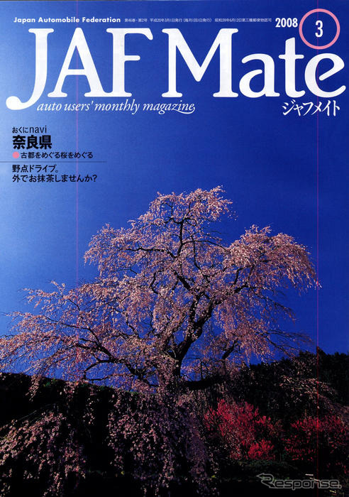 桜も宝の古都を行く