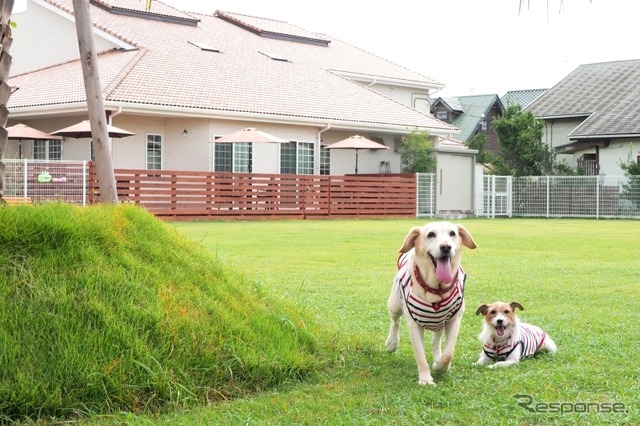 この夏行きたい理想の愛犬同伴宿、ドッグフレンドリーポイント10ヶ条