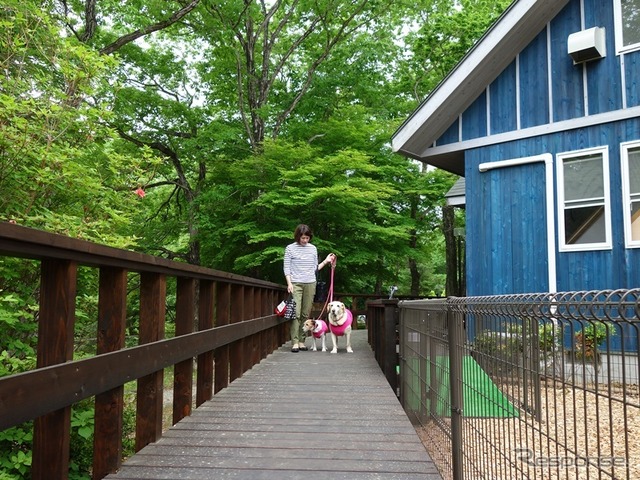 この夏行きたい理想の愛犬同伴宿、ドッグフレンドリーポイント10ヶ条