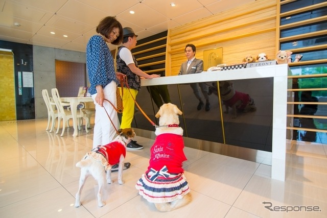 この夏行きたい理想の愛犬同伴宿、ドッグフレンドリーポイント10ヶ条