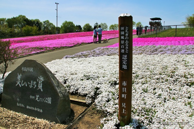 芝ざくら公園（イメージ）