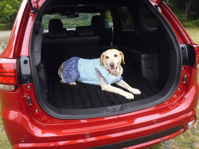 【青山尚暉のわんダフルカーライフ】災害時、車内空間は愛犬同伴避難の強い味方になる!