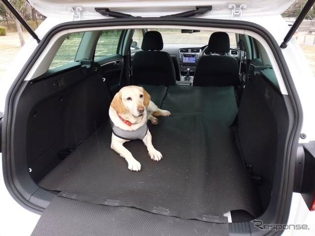 【青山尚暉のわんダフルカーライフ】災害時、車内空間は愛犬同伴避難の強い味方になる!