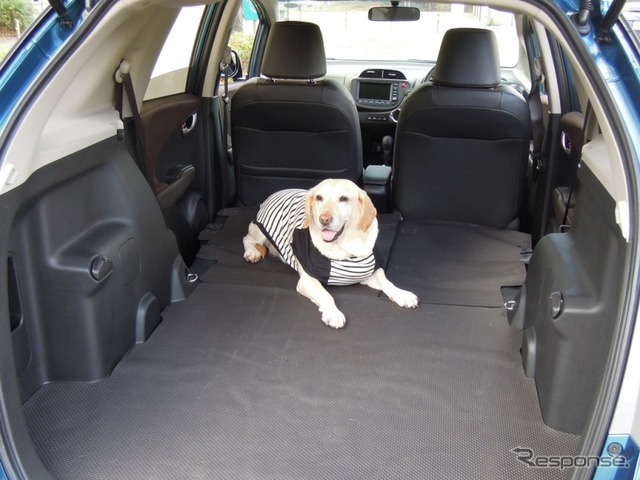 【青山尚暉のわんダフルカーライフ】災害時、車内空間は愛犬同伴避難の強い味方になる!