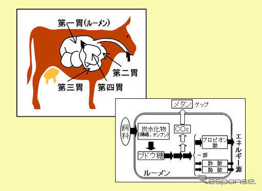 牛のゲップを抑制して温暖化防止…出光興産