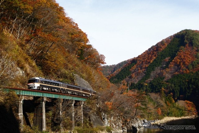 高山本線を走る現行特急のキハ85系。