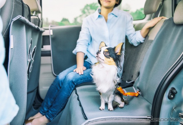 Honda Dogシリーズ(イメージ)