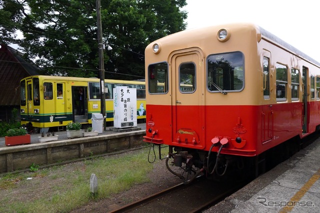 上総中野駅に並ぶ小湊鐵道（右）といすみ鉄道の気動車（左）。黄色い車両は、現在は運行されていないいすみ鉄道の「ムーミン列車」。2010年9月撮影。