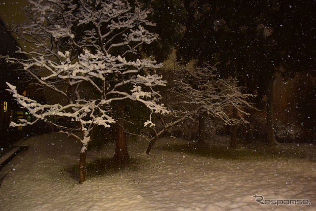 夕刻までバカっ晴れだったのに、夜9時台にふと外を見ると雪が積もっていた。新潟側ほどではないが、11月下旬でこの状態とは、三国山脈近くの雪降りパワーはなかなかのものだ。