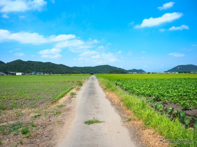 (イメージ)