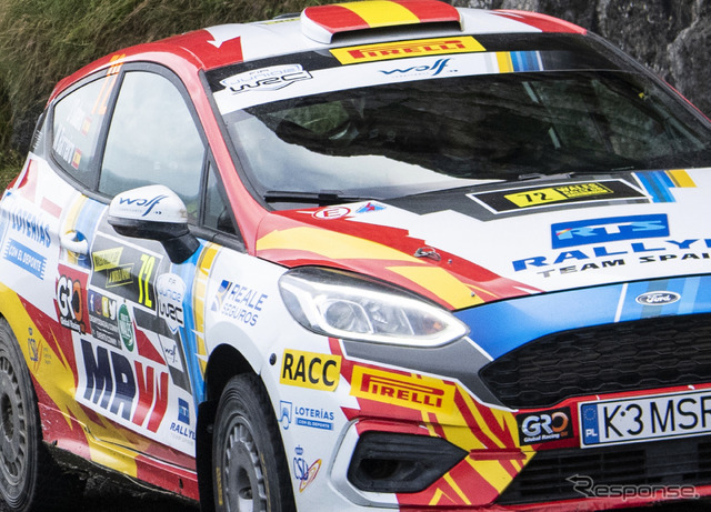 2019年のWRCにおけるピレリ装着車(ジュニアWRCへの登録参戦車)。