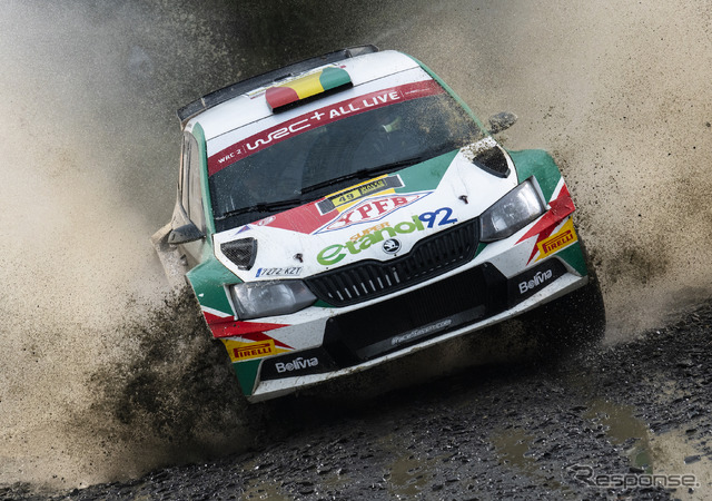 2019年のWRCにおけるピレリ装着車(WRC2への登録参戦車)。
