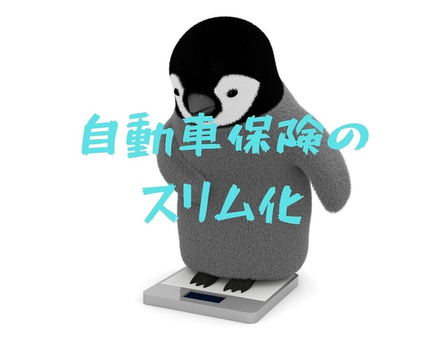 自動車会社経営の筆者が教える「保険のスリム化」 どこを見直せば安心かつ節約できるか