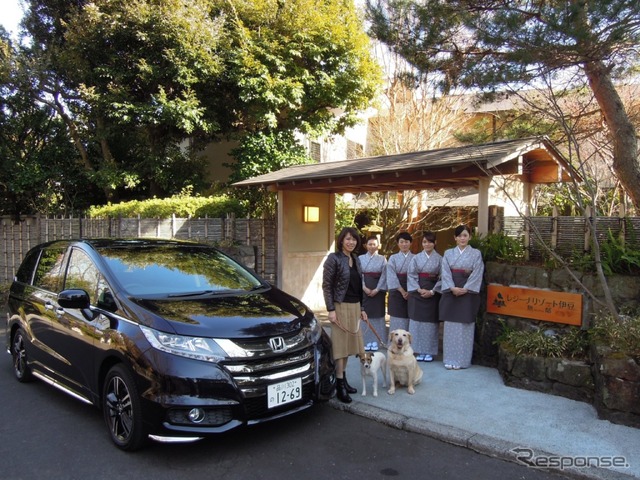 温泉と食事が魅力の愛犬同伴型温泉宿6選