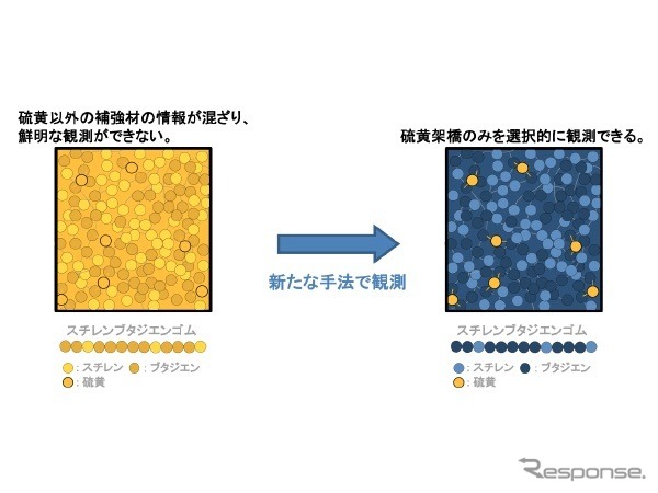 スチレンブタジエンゴム（SBR）内部の硫黄架橋の粗密観測イメージ