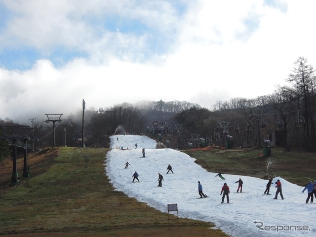 雪道に強いお手頃ドッグフレンドリーカー