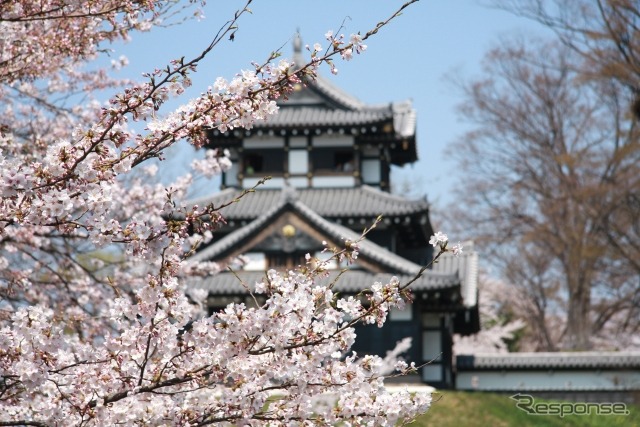 高田城址公園