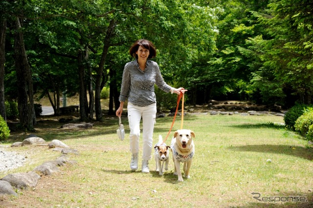 部屋食&個室ダイニングがある愛犬同伴専門リゾートホテル