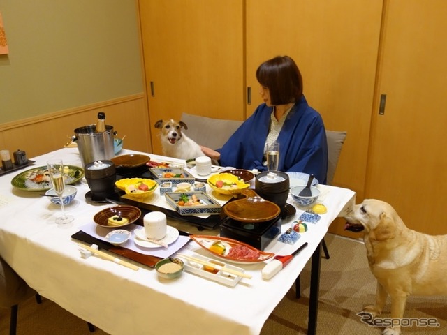 部屋食＆個室ダイニングがある愛犬同伴専門リゾートホテル