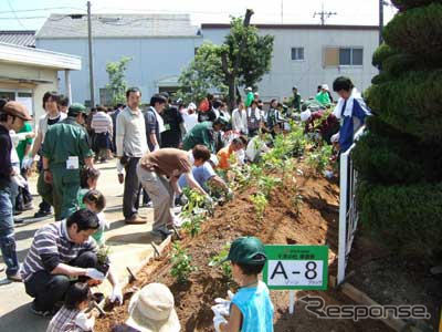 横浜ゴム、三重工場で苗木5500本を植樹