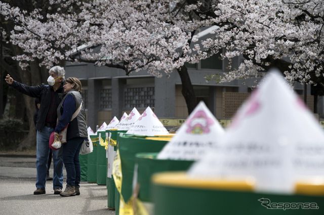 上野公園（3月28日）